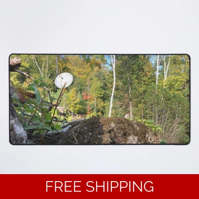 Le Studio Desk Mat Satellite Dish 2019